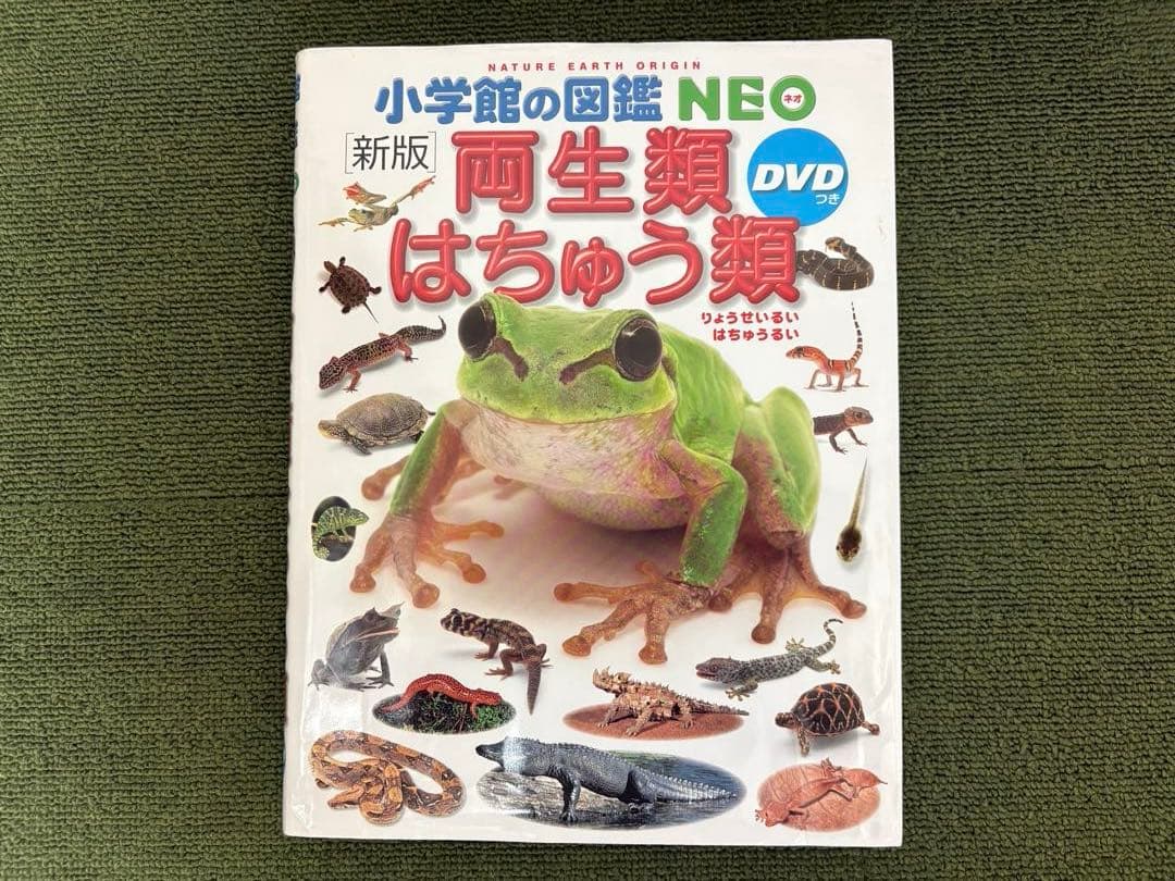 小学館の図鑑NEO10冊 ＆ 学研図鑑1冊、全11冊セット