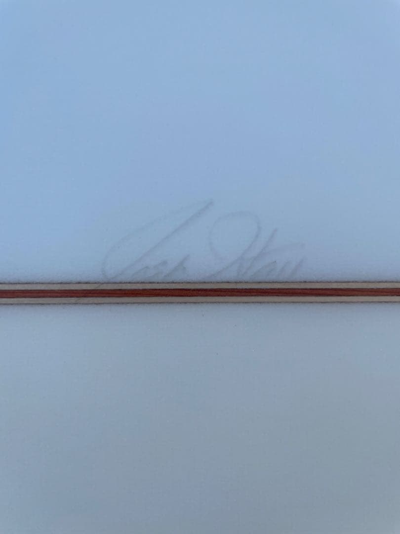 Josh Hall ジョシュホール バットテール エッグ ツイン7'6\"