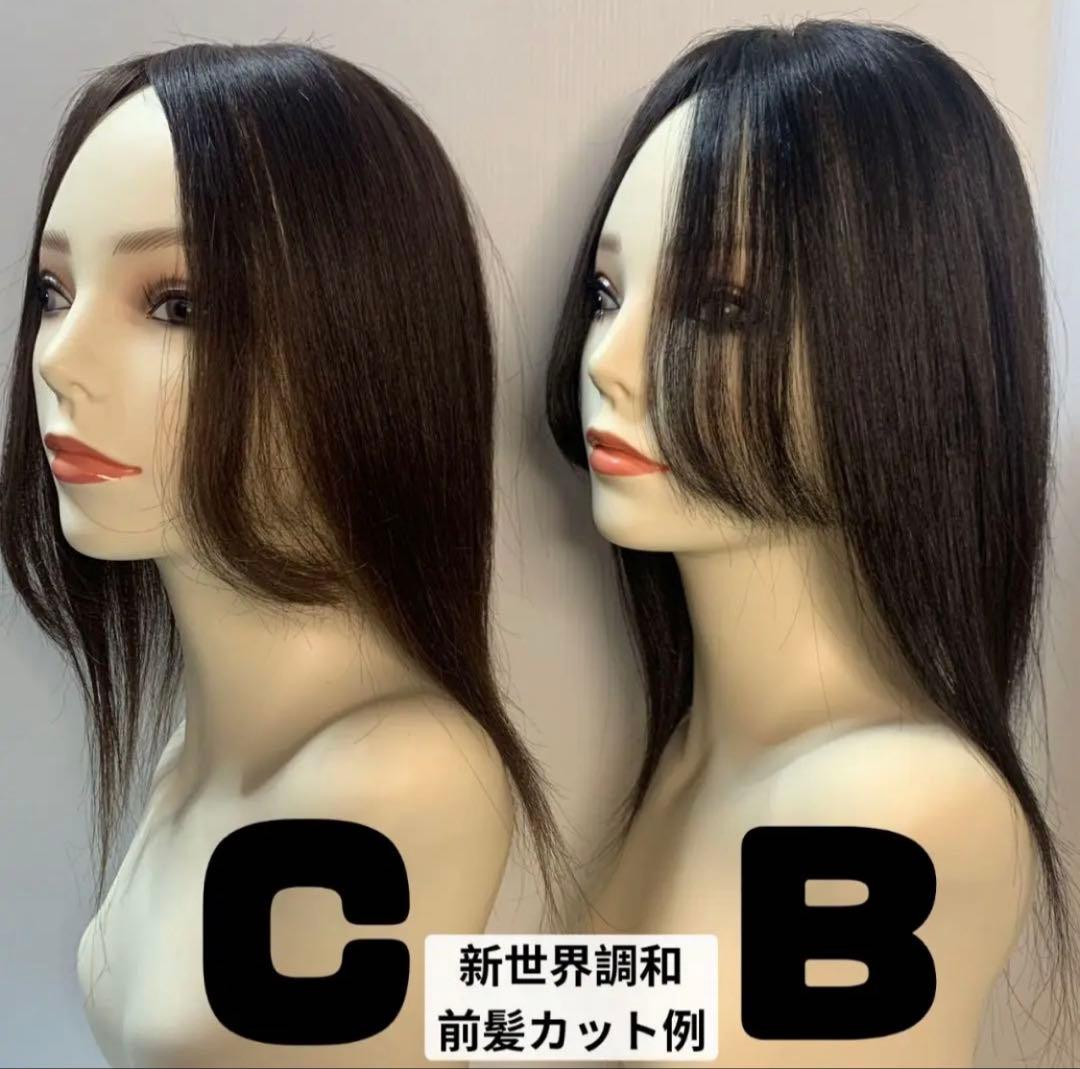新世界プレミア真皮シリーズ★全人毛　ヘアピース　ウィッグ16*18総手植え45㌢