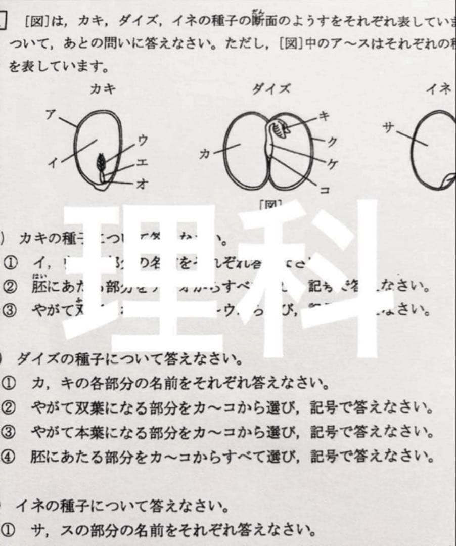 浜学園　小5 マスター　Sクラス　復習テスト　4教科　国語　算数　理科　社会、