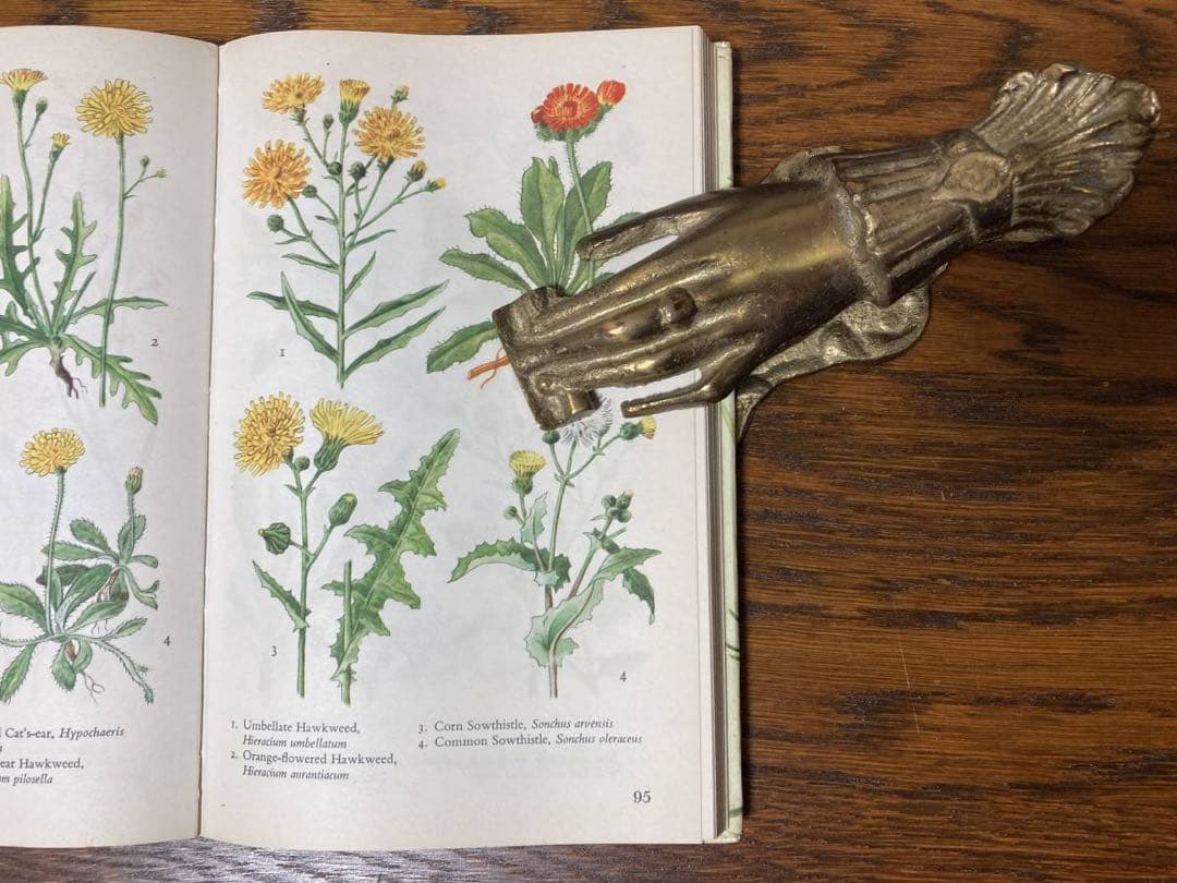 ビンテージ☆ハンドクリップ(大サイズ)壁掛けビクトリア朝 真鍮 ブロカント