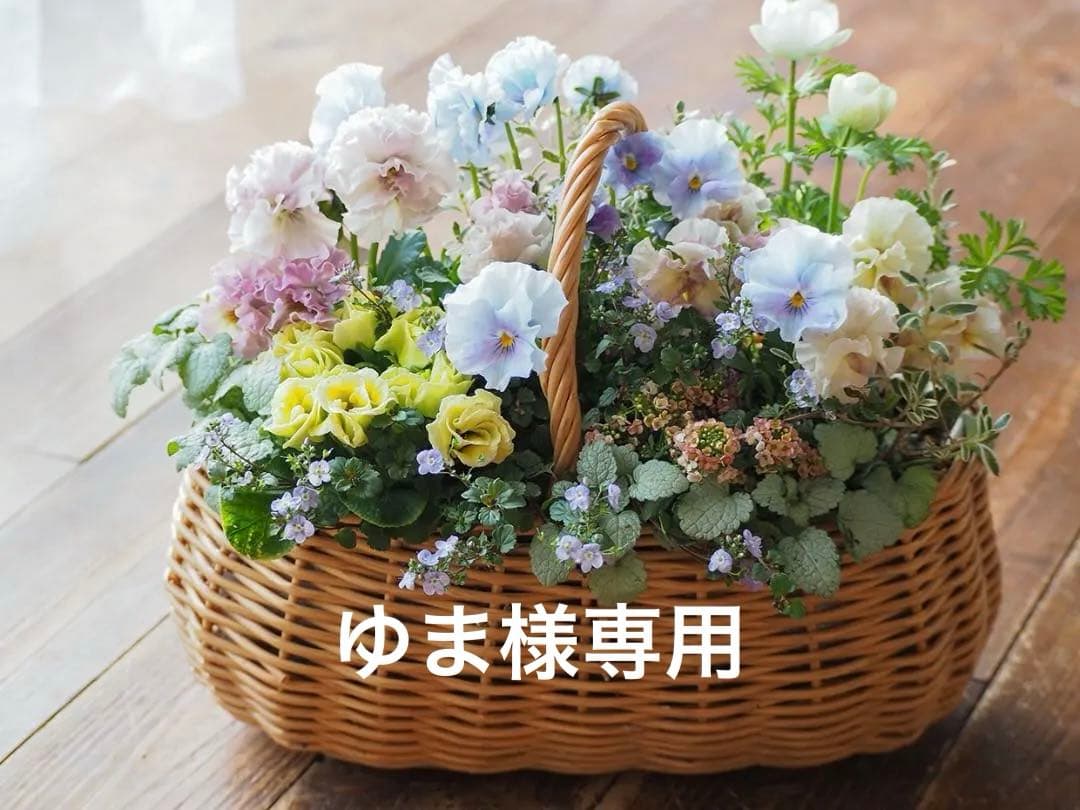 オーバルバスケットのパステルカラー寄せ植え