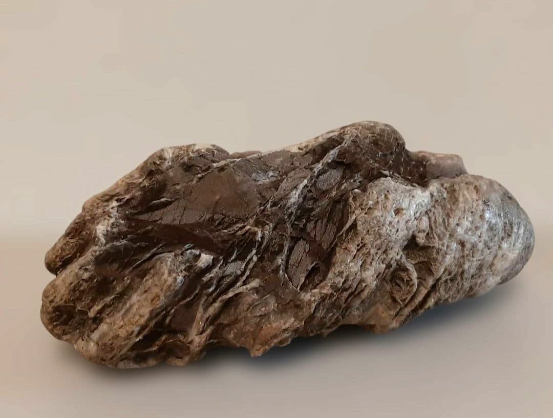 貴船糸掛石　賎原　糸掛石　希少石　水石　鑑賞石