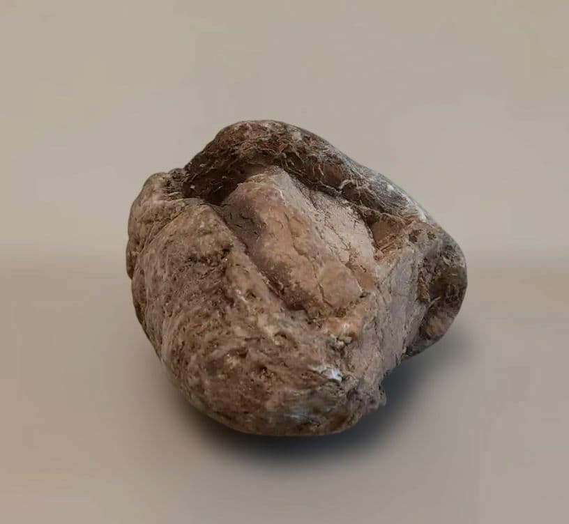 貴船糸掛石　賎原　糸掛石　希少石　水石　鑑賞石