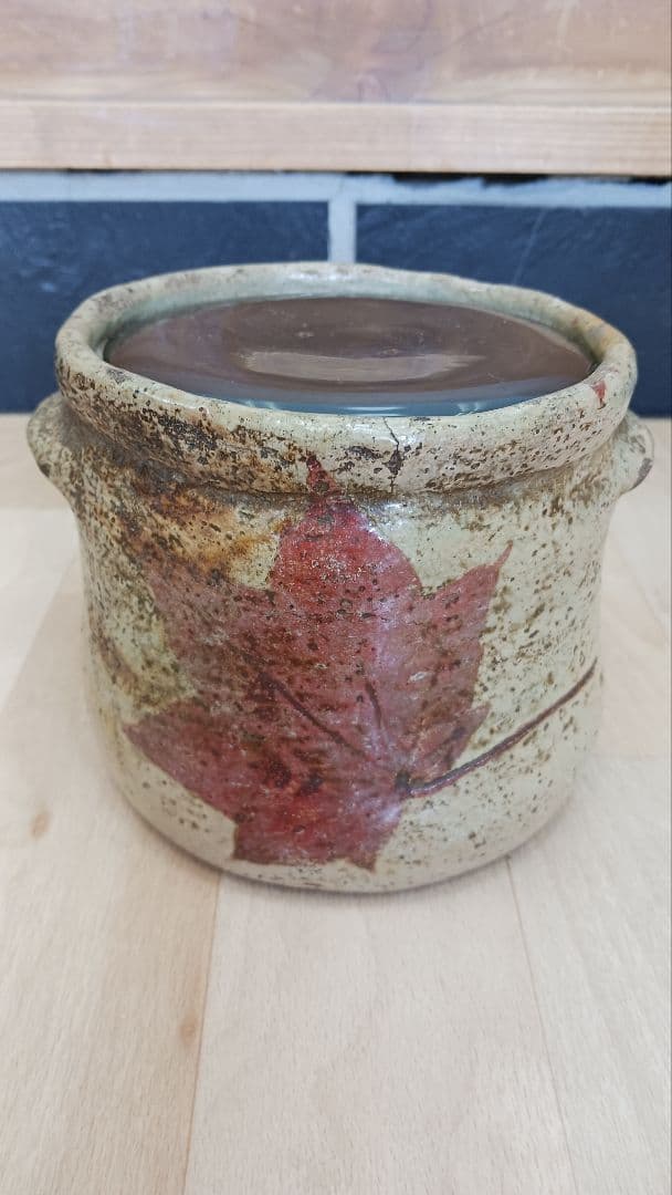 珍品？時代物美濃焼？瀬戸焼？何焼？掻き銘あり水指紅葉図もみじ茶道具江戸期