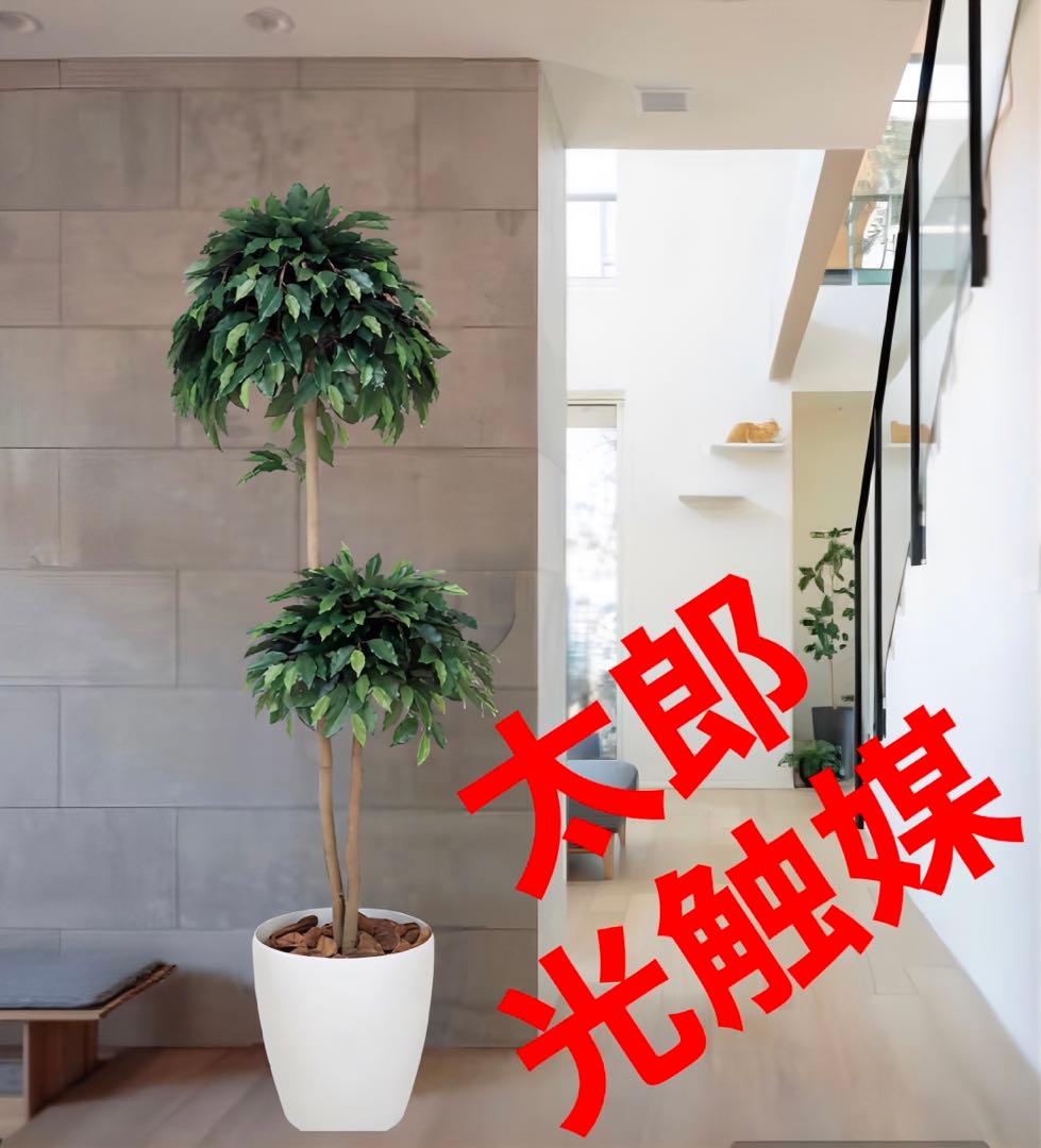光触媒　人工観葉植物　フェイクグリーン　ベンジャミンダブル 1.8m