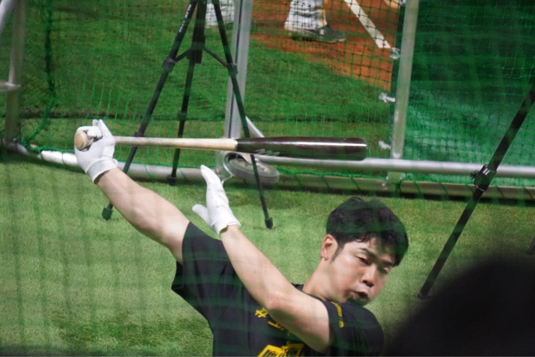 福岡ソフトバンクホークス　近藤健介選手　#3 実使用　NPBバット