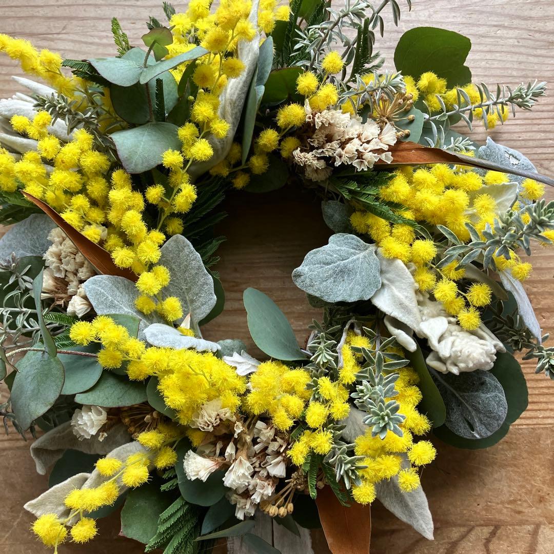 ミランドール産ミモザとラムズイヤーのリース　グレビレア　ユーカリ　スターチス