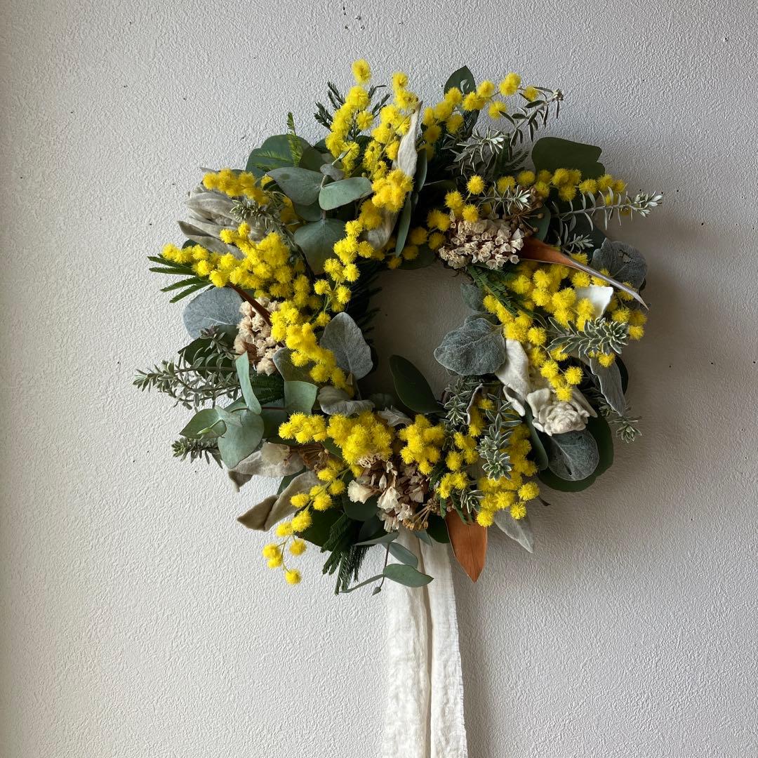ミランドール産ミモザとラムズイヤーのリース　グレビレア　ユーカリ　スターチス