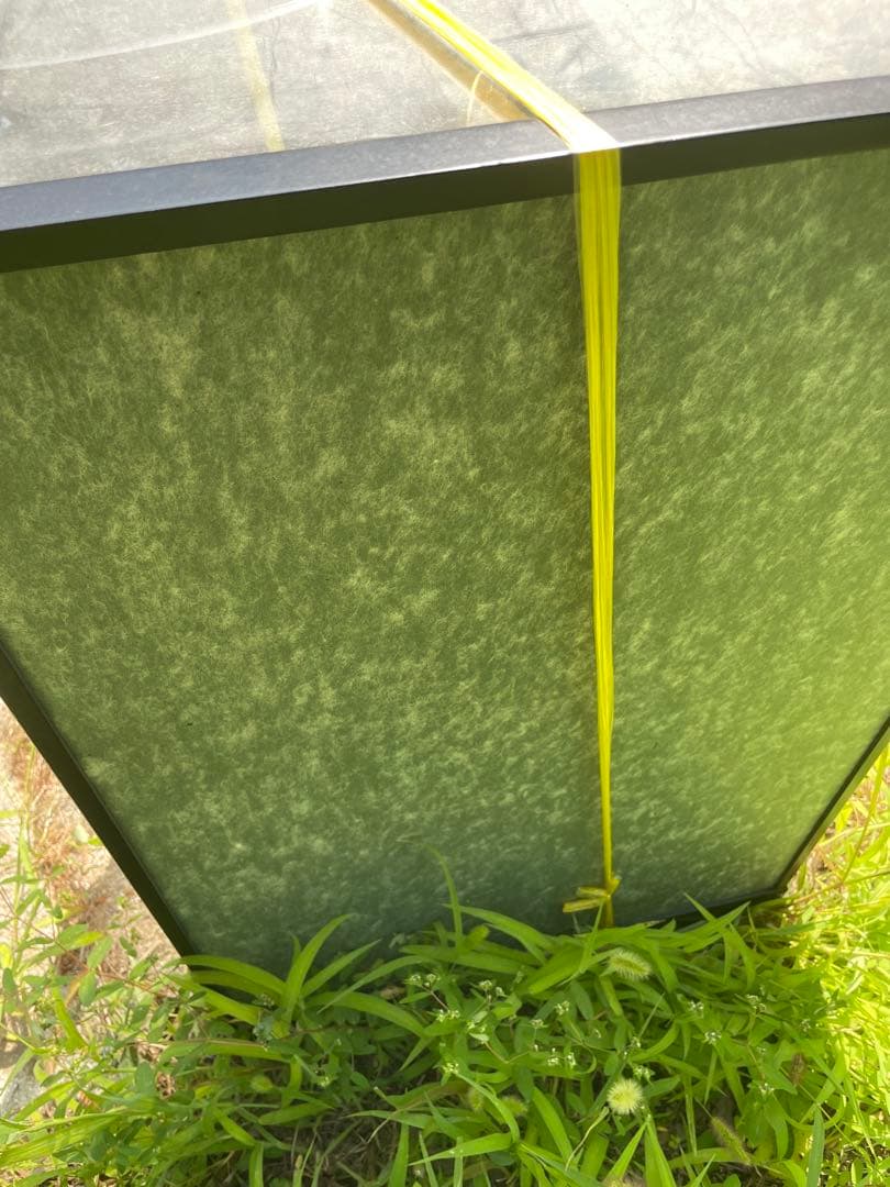 ケース入り日本人形 藤娘 端午の節句 昭和レトロ　15番　2号