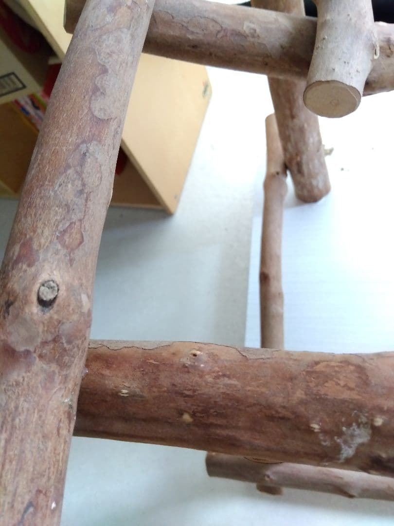 オウム　ヨウム　ハッピーケース木製鳥用スタンド 餌入れ付きバードアスレチック