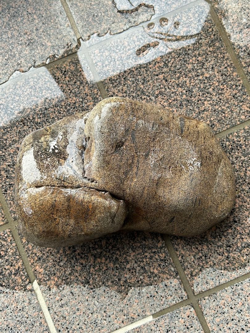 希少　犀川金梨地石　うぶ石　長野県産　石のみのご提供です。