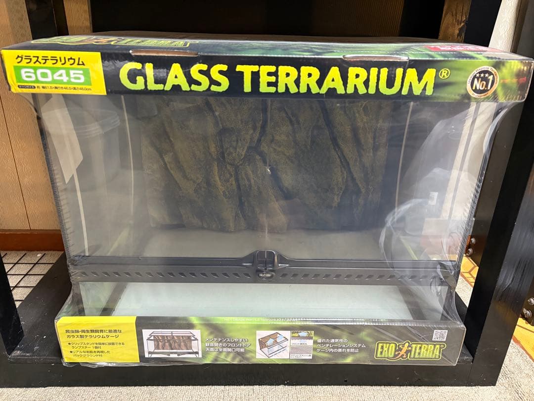 エクソテラ ガラステラリウム 6045