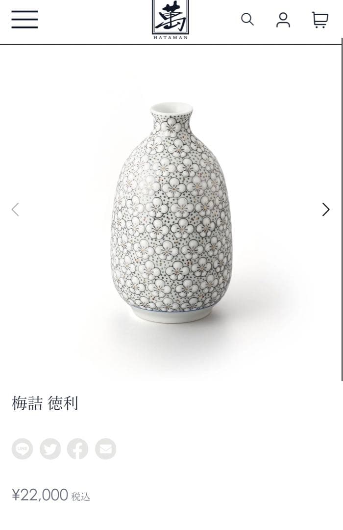 有田焼 伊万里大川内山 畑萬作 玉彩梅詰 半酒器セット