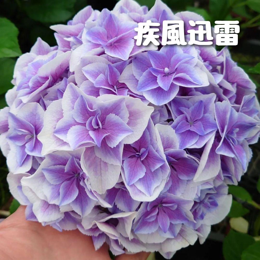 ノブコ様 リクエスト 5点 まとめ商品