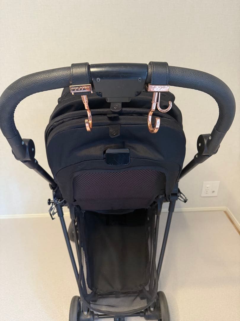 ★か★【キャノピー新品】サイベックス メリオカーボン