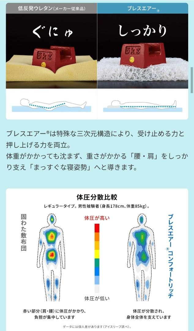 東洋紡 ブレスエアー ディノス購入6ヶ月使用 中古