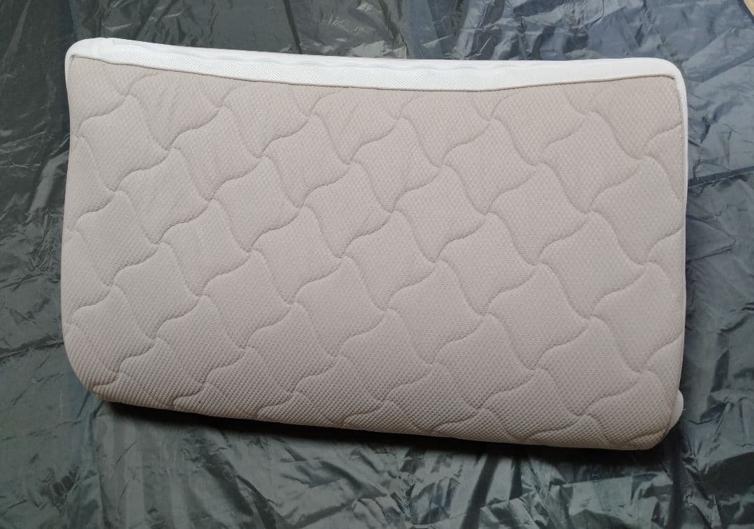 東洋紡 ブレスエアー ディノス購入6ヶ月使用 中古