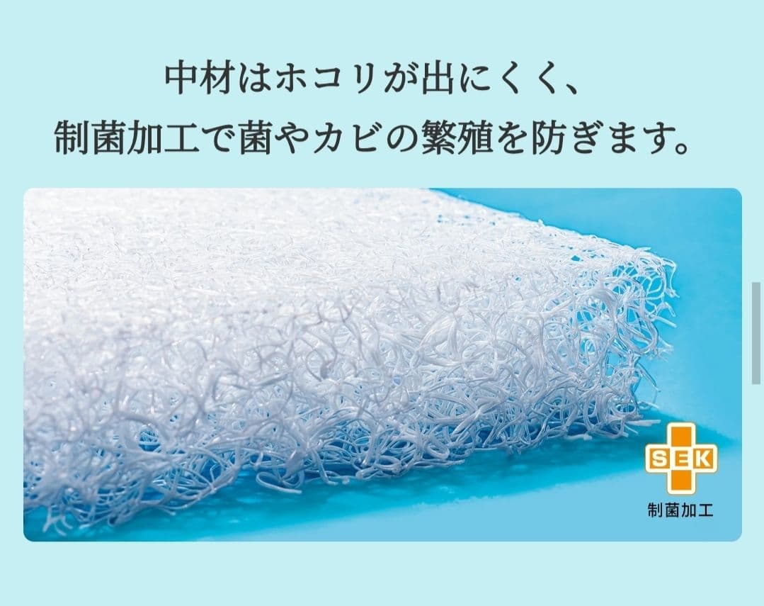 東洋紡 ブレスエアー ディノス購入6ヶ月使用 中古