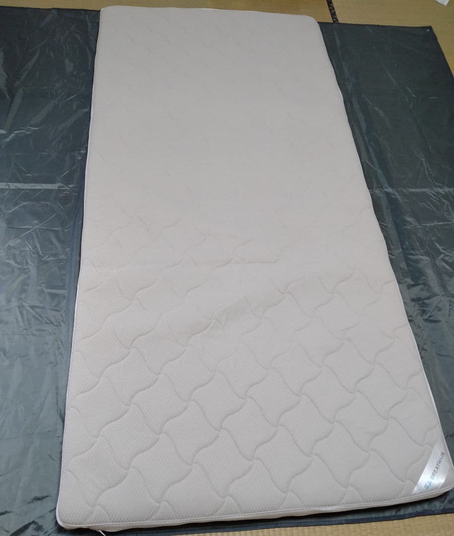 東洋紡 ブレスエアー ディノス購入6ヶ月使用 中古