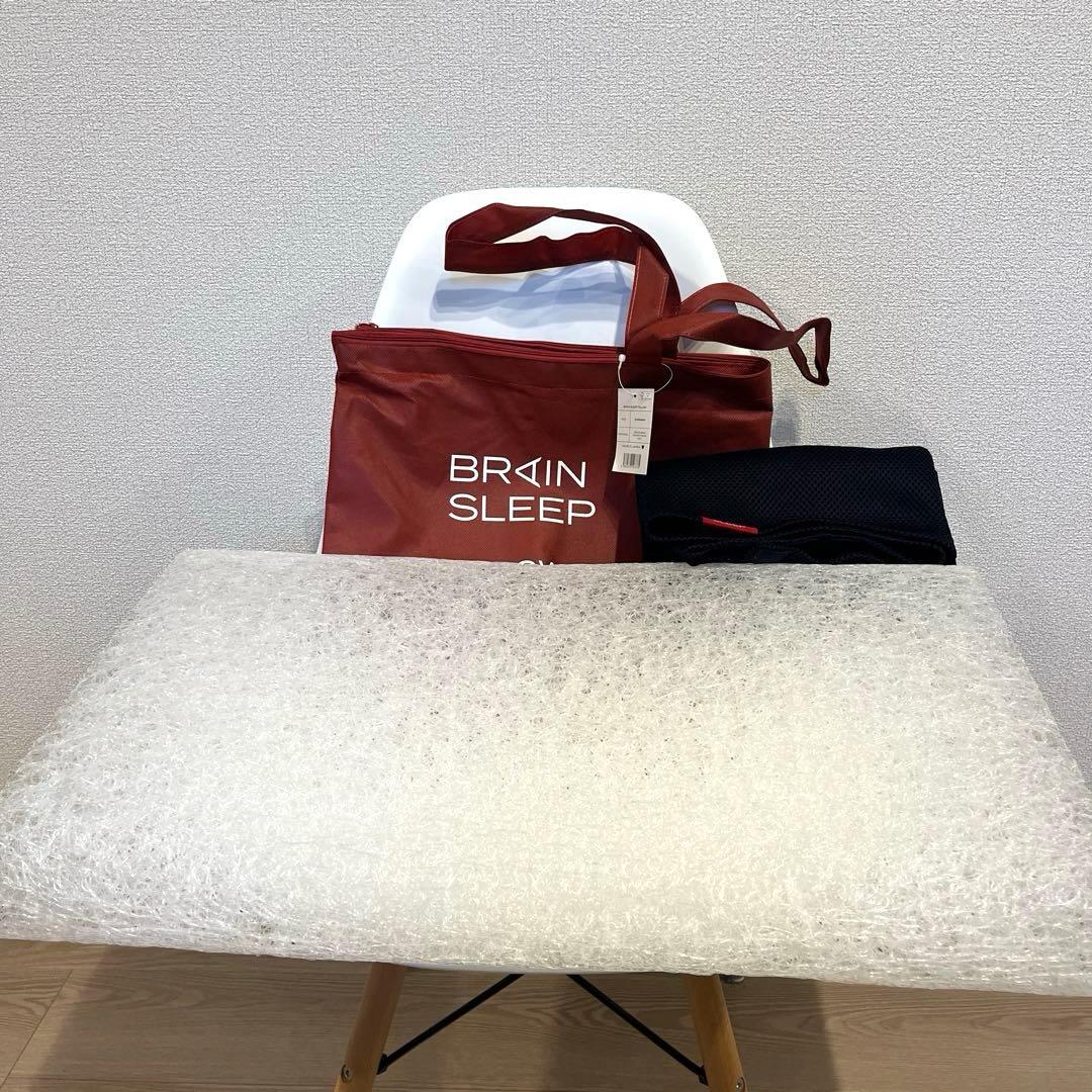 ブレインスリープピロー スタンダードサイズ （ピローカバー・収納バッグ付き）