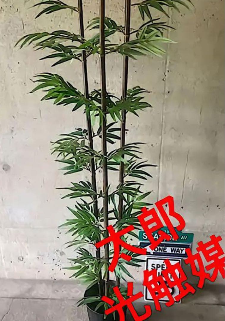 光触媒　人工観葉植物　ウォールグリーン　フェイクグリーン　黒竹@ad