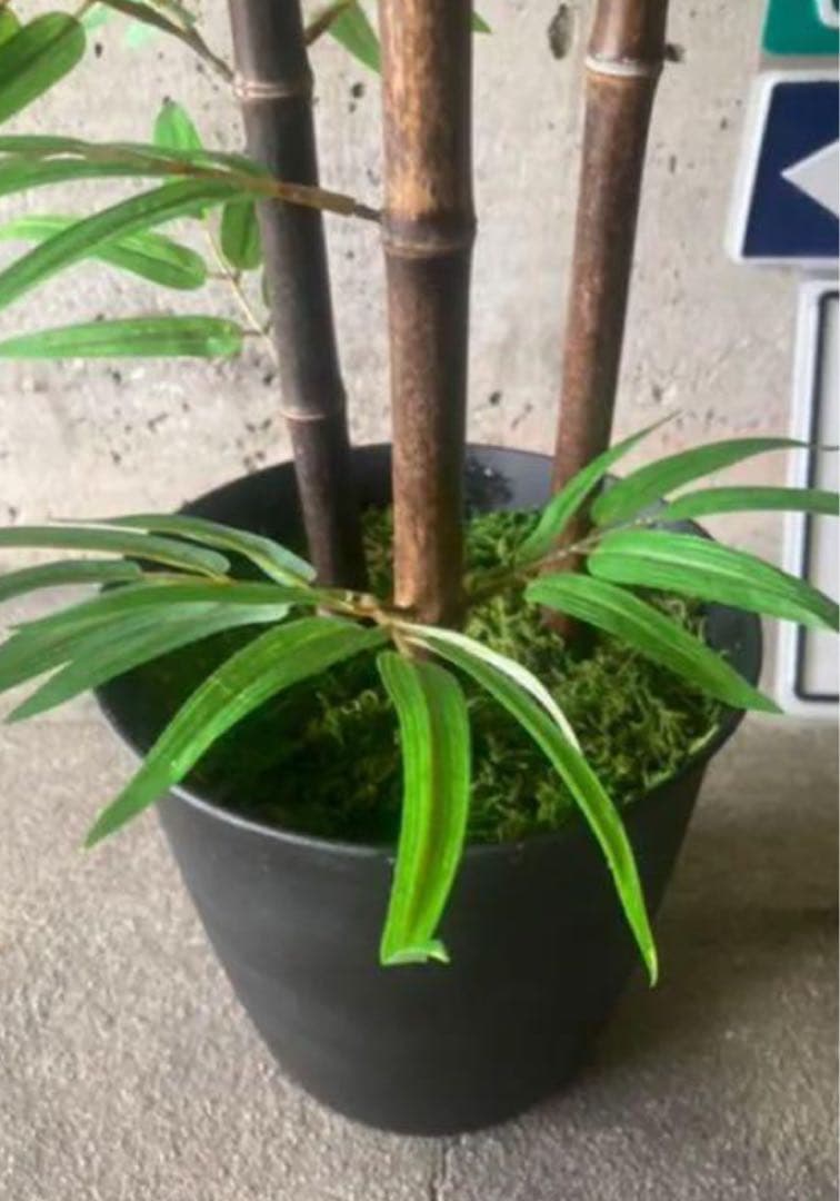 光触媒　人工観葉植物　ウォールグリーン　フェイクグリーン　黒竹@ad