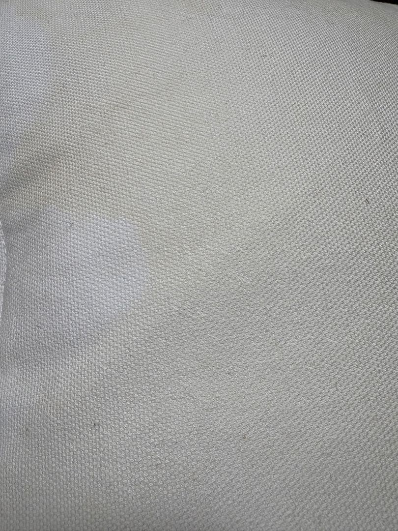 francfranc フランフラン クッション45×45 花柄とダルメシアン