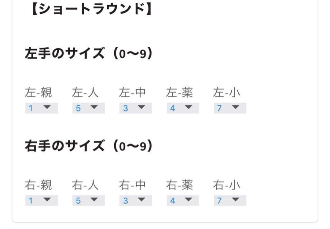 Evernail エバーネイル　ネイルチップ