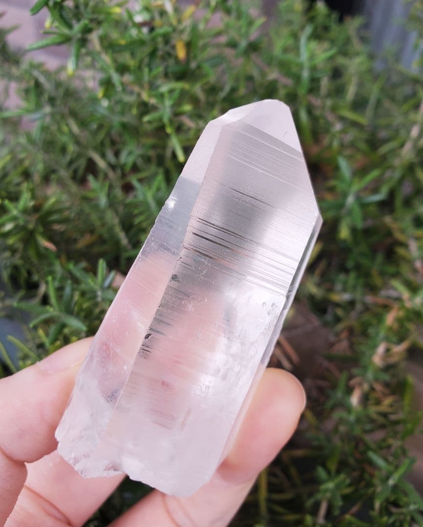 レムリアンシード　ミナスジェライス州