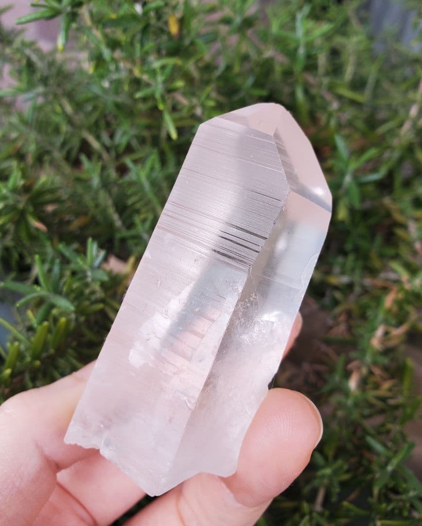 レムリアンシード　ミナスジェライス州