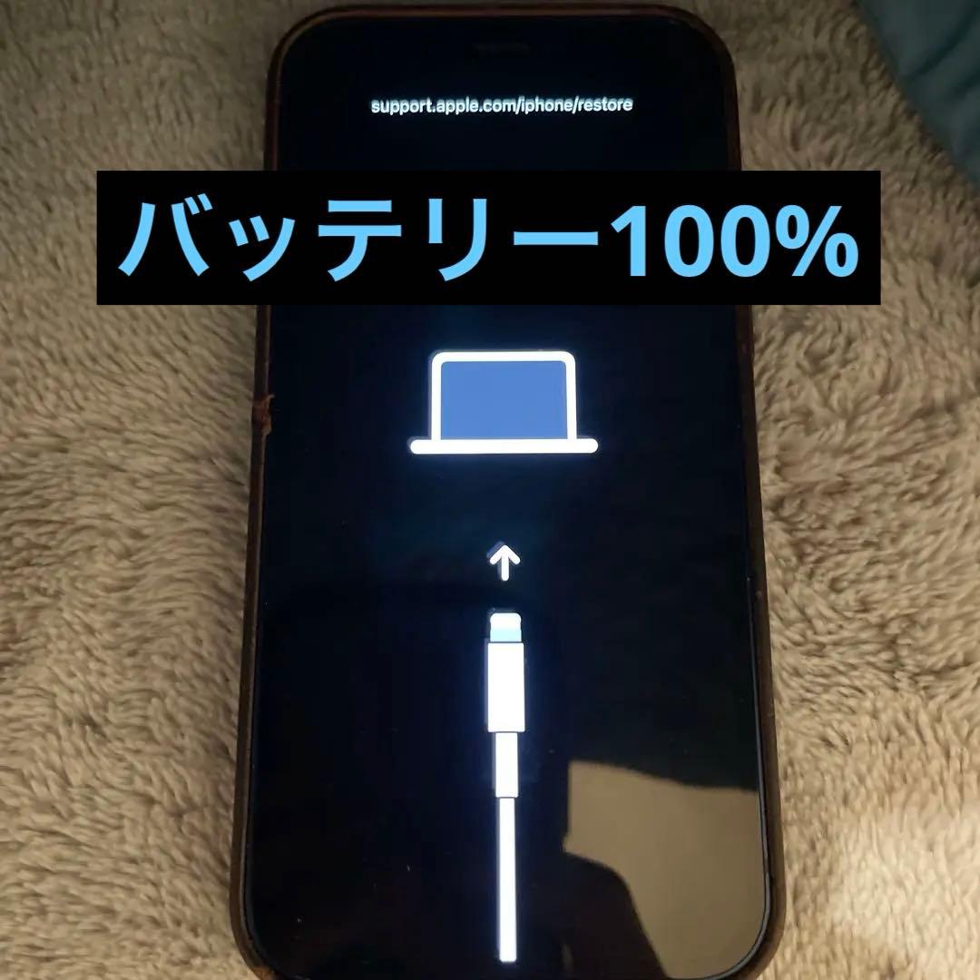 iPhone 12 mini 64GB ジャンク