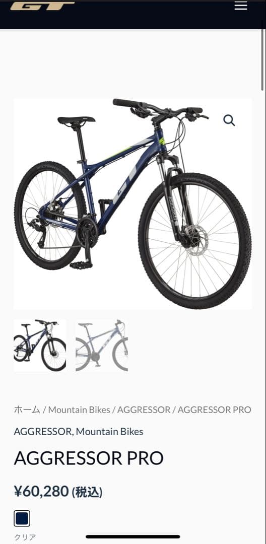 マウンテン バイクGT 自転車 岩手県盛岡市引き取り限定