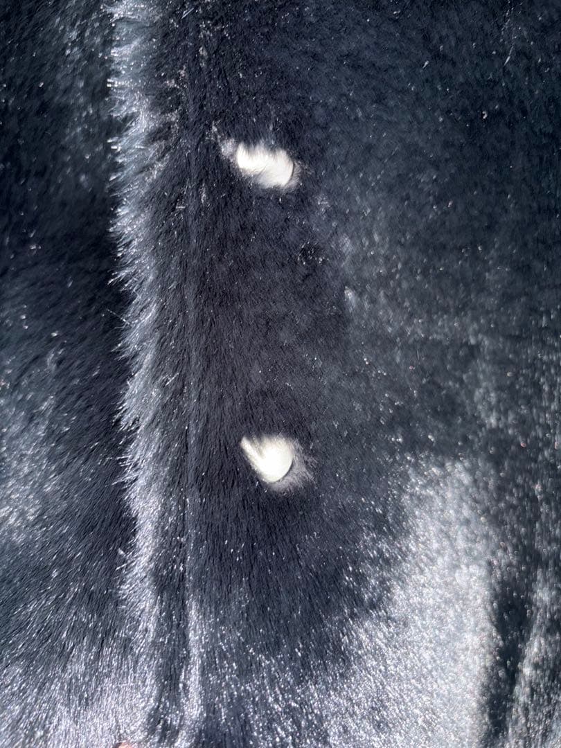 マカフィー MACPHEEフェイクムートンリバーシブルコートトゥモローランド