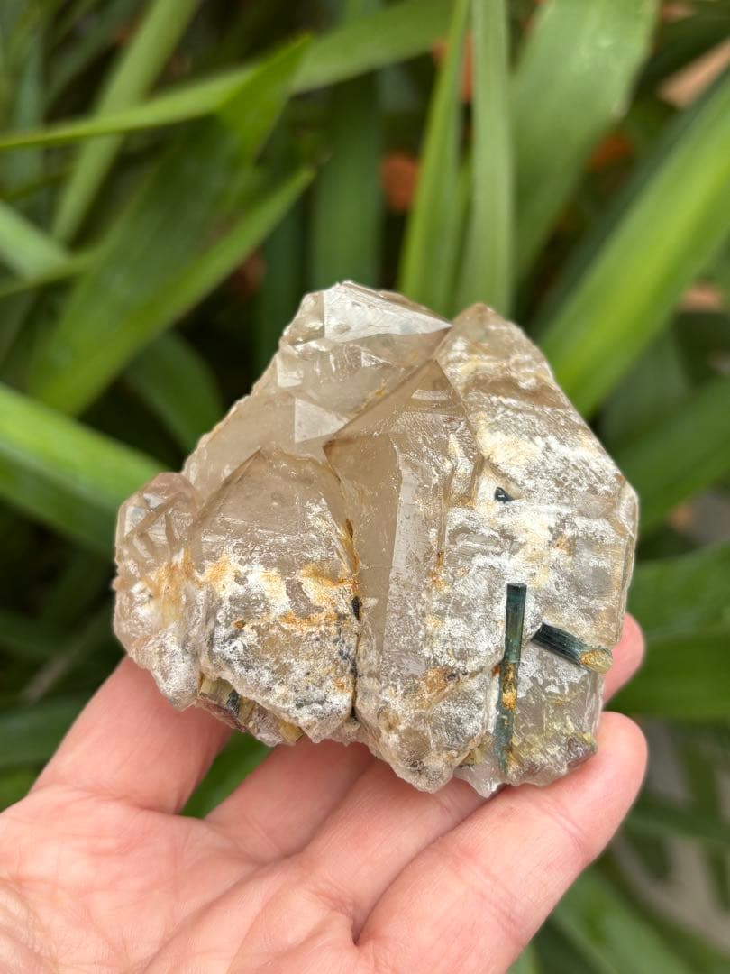 希少　ミナスジェライス州産　シトリン　ジャカレー水晶　トルマリン共生　313g