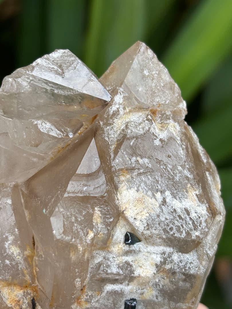 希少　ミナスジェライス州産　シトリン　ジャカレー水晶　トルマリン共生　313g