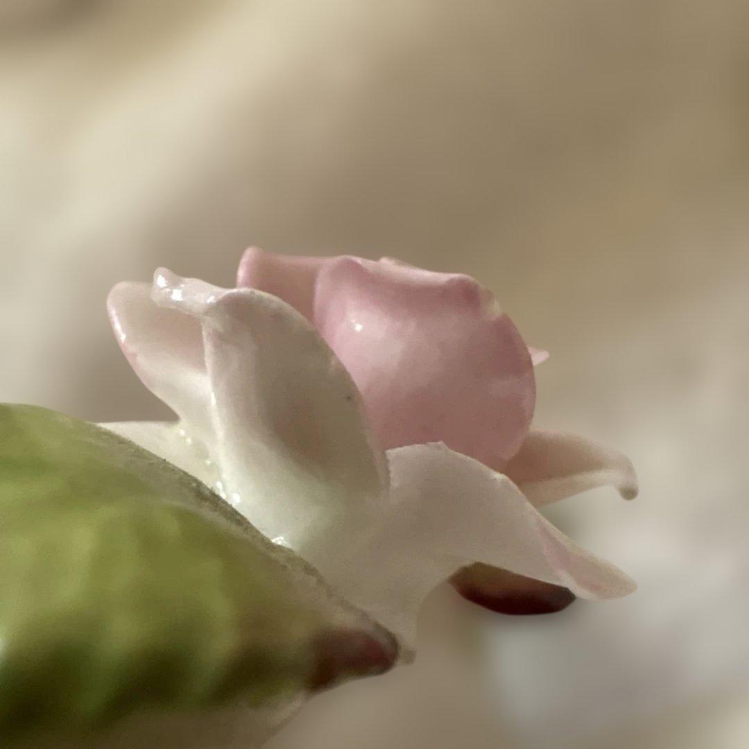 コールポート　バラの陶花カードスタンド6個セット