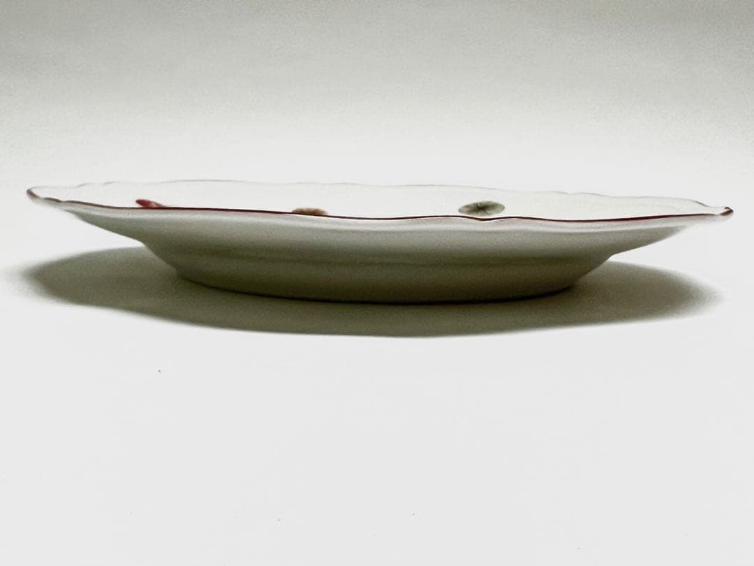 minäperhonen ミナペルホネン×リチャードジノリ×パスザバトン 皿