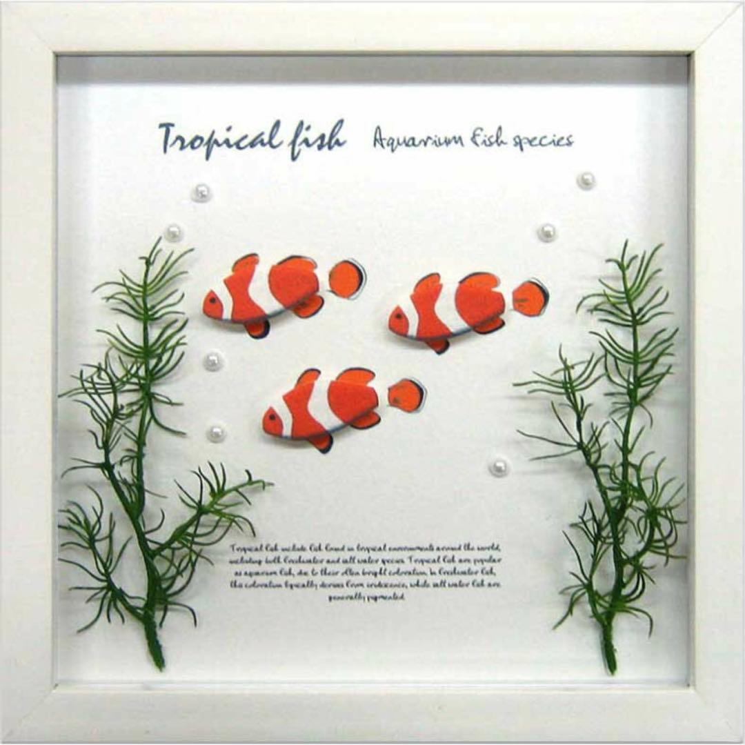 アクアフレーム　4個セット　海、ダイビング、魚、観賞魚、水槽好きの方にインテリア