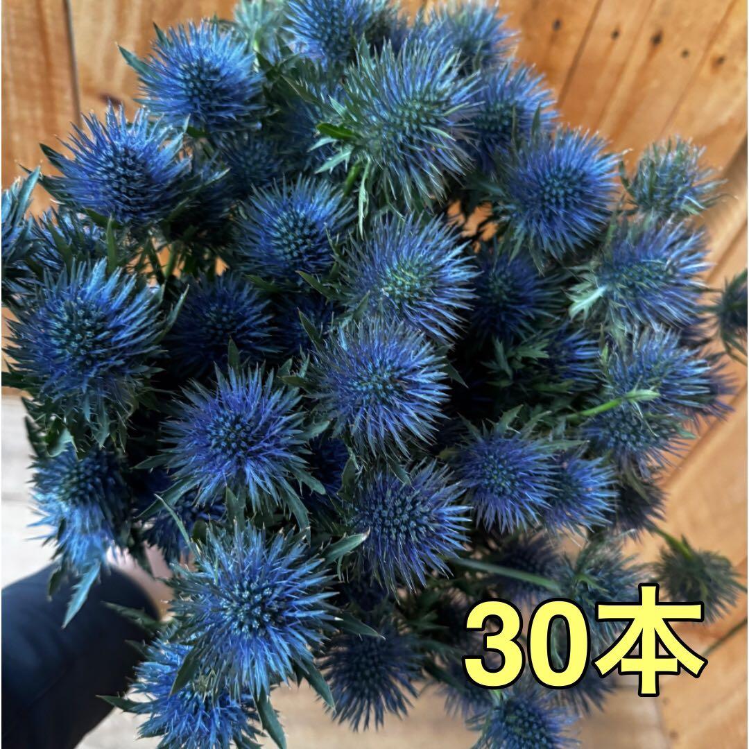 ⭐akikokoko⭐様 リクエスト 3点 まとめ商品