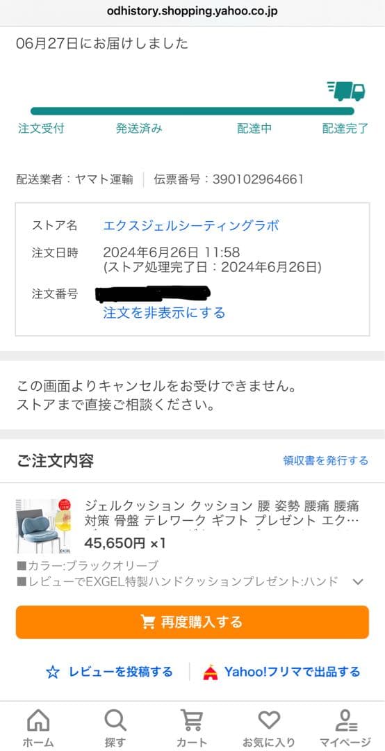 最短即日発送可能【超美品】EXGEL ハグカンフィプレミアム HUG01