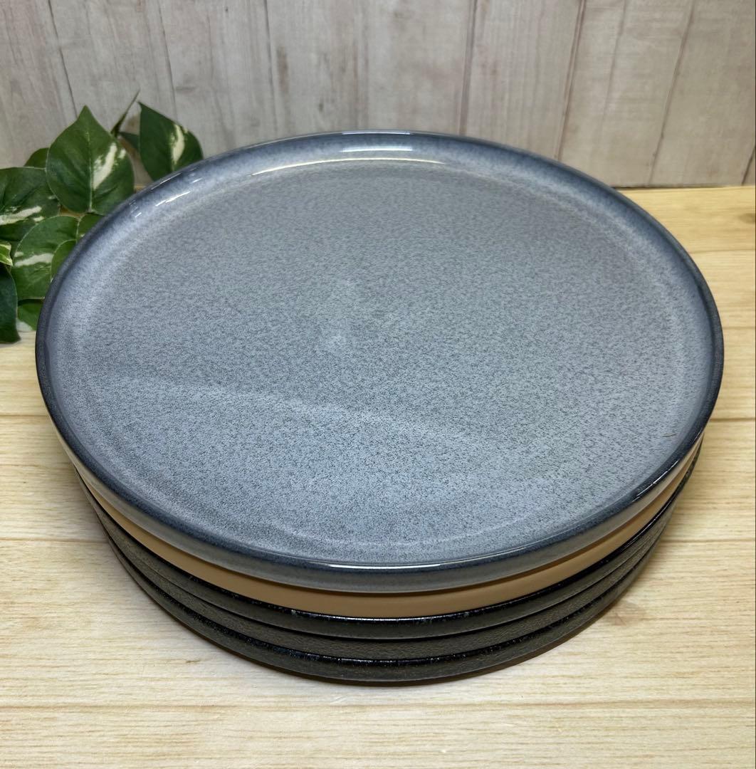 釉変わり26cm浅口切立皿(5枚)