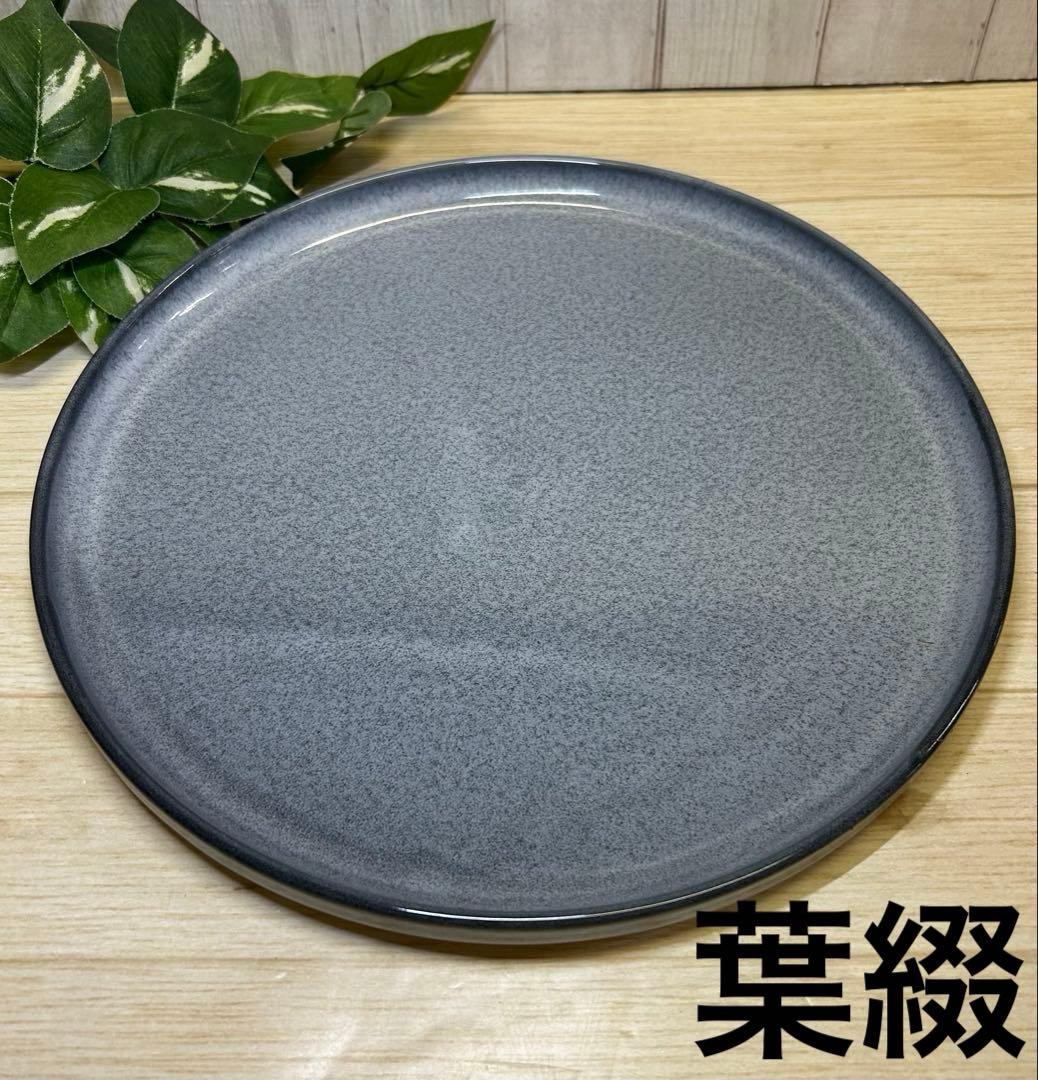 釉変わり26cm浅口切立皿(5枚)