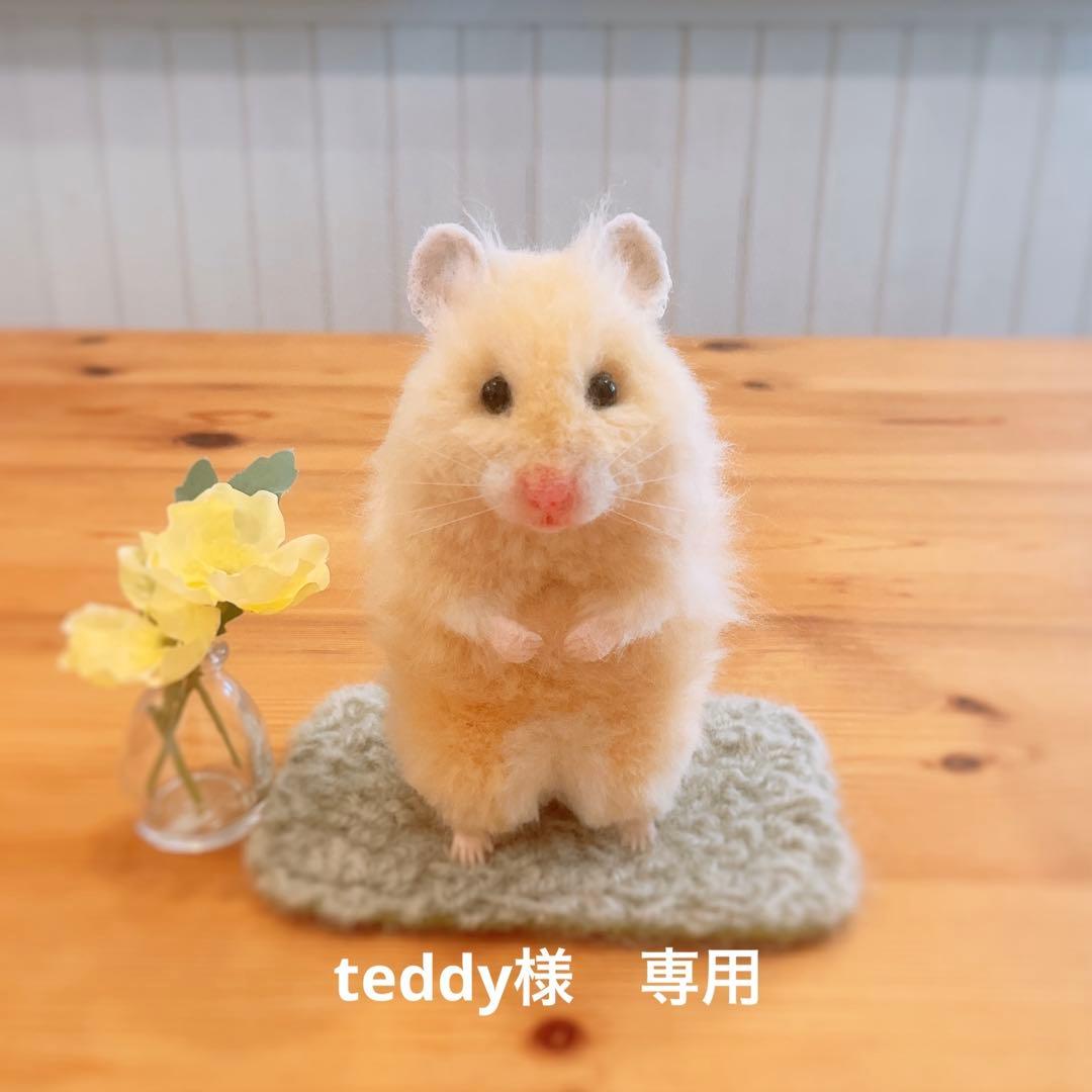 teddy