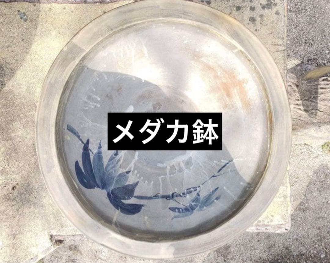 超珍品‼️ 中野行山手造りメダカ鉢 横幅48センチ