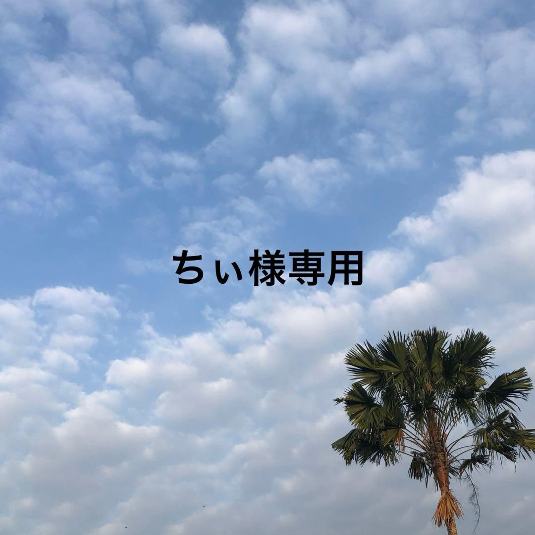 ちぃ様 リクエスト 2点 まとめ商品