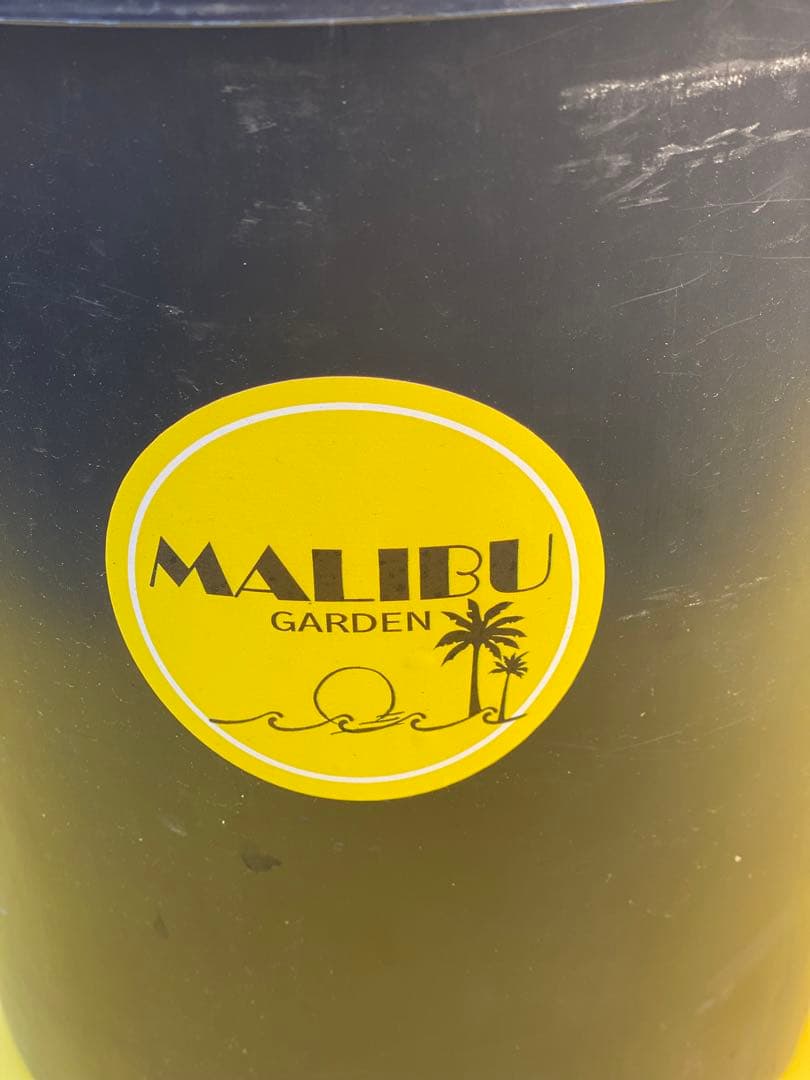 ⭐︎初売り⭐︎王冠竜