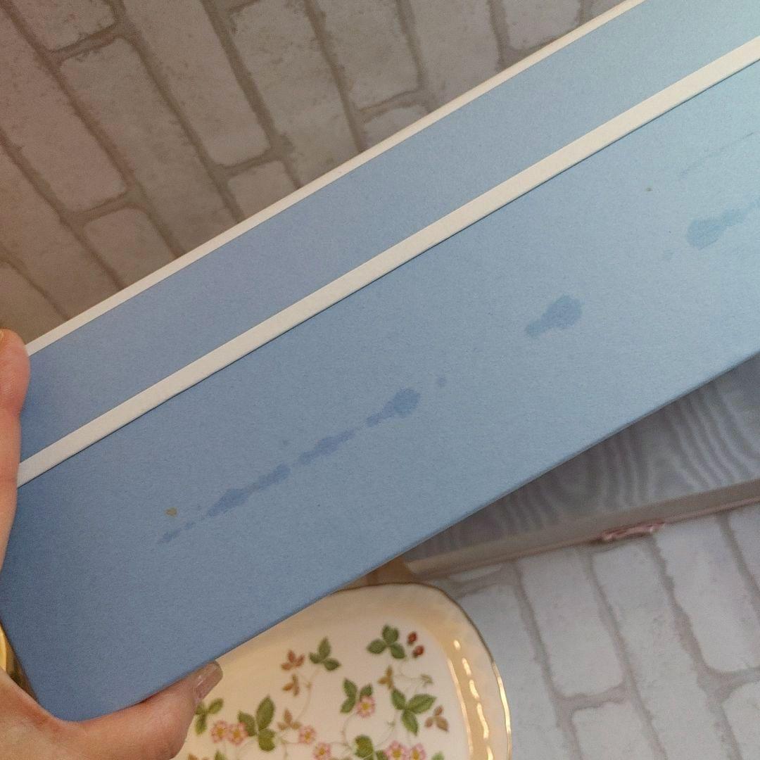 Springセール◆新品 ワイルドストロベリーC&S2客長皿1枚