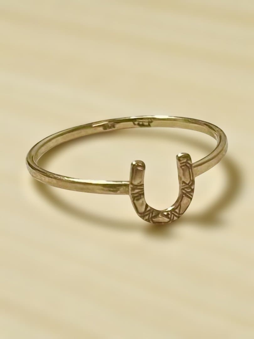 hirondelle イロンデール K18 ホースシュー リング