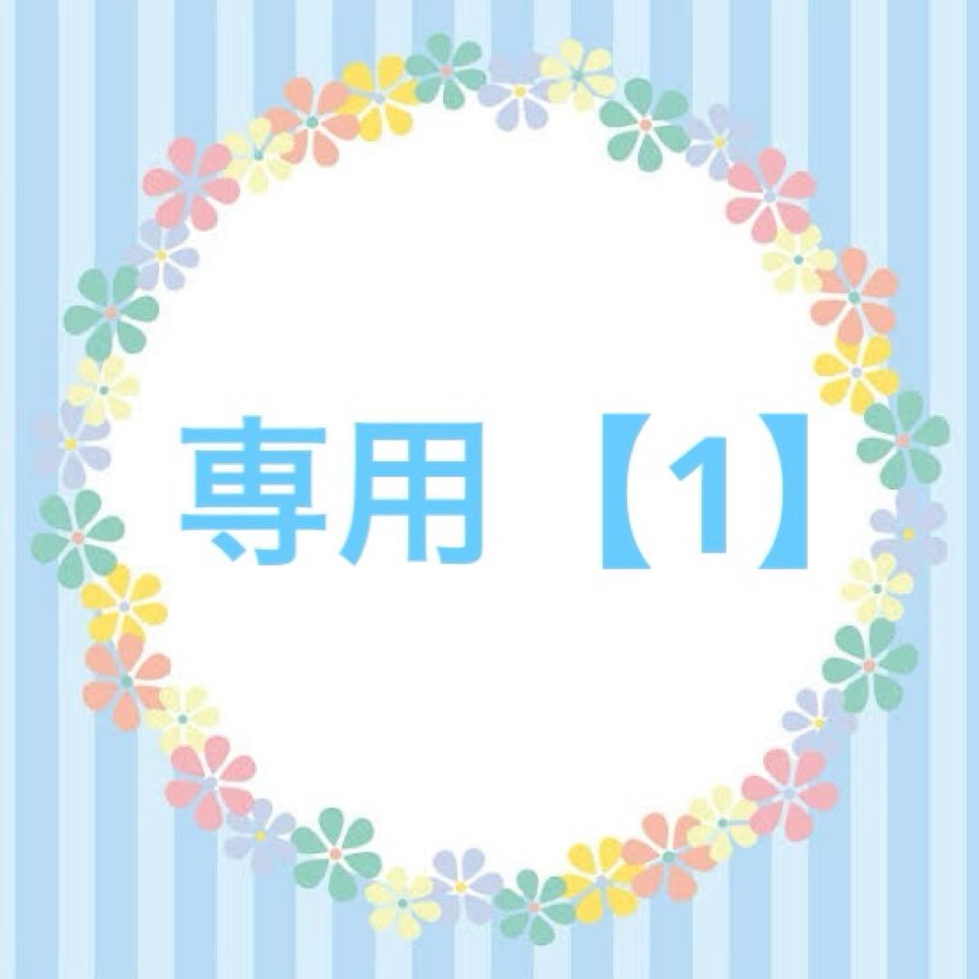 専用【1】